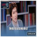CEO Mai Văn Lút Profile Picture
