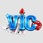 VicClub Hu Net Profile Picture